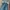 Scalzi Blue Jeans Side Line Vintage Style