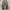 Carhartt Carphenter B11 CHT