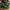 Nike SB Dunk High 
Decon Gorge Green photo 4