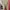 Kulot Sage Green Premium photo 1