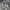 Jaket Running / Outdoor Find Out Full Print Galaxy Blocktech photo 7