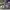 A BATHING APE COURT STA MIST GREY AZUL ROYAL PURPLE , A BATH