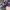 A BATHING APE COURT STA MIST GREY AZUL ROYAL PURPLE , A BATH photo 6