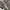 Converse Casual Sneakers Pria multicolor photo 5