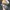 Salomon XT-4 OG Sharkskin Dawn Blue Metal photo 3