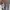 Beanpole Vintage Y2K Kids gray photo 7