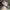 Nike Air Jordan Steam Puppet ( Wukong ) photo 2