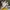 Nike Air Jordan Steam Puppet ( Wukong ) photo 1