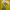 Vintage Cosplay Sweater Pria yellow photo 3