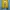 Vintage Cosplay Sweater Pria yellow photo 1