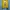 Vintage Cosplay Sweater Pria Yellow