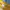 Vintage Cosplay Sweater Pria yellow photo 4