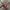 Attention Colourblock jacket photo 4