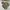 Jacket parka ECWCS  woodland camo military vintage 90's photo 8