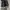 Converse Chuck Taylor back Zipper photo 6