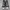 Converse Chuck Taylor back Zipper photo 4