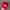 Vintage Hat Pria Red