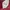 Vintage Hat Pria burgundy photo 3