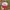 Vintage Hat Pria white red photo 1