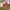 Vintage Hat Pria white red photo 5