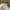 Vintage Hat Pria white red photo 3