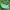 Vintage Hat Pria green photo 2