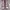 Converse Chuck Taylor Red stripes Japan Domestic Market photo 5