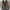 Converse Chuck Taylor European Leather photo 8