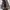 Converse Chuck Taylor European Leather photo 5