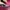 Michael Kors Lolita Coquette Crossbody Bag Wanita Pink