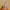 AZKO Kris Setrika Uap Portabel 1100 watt Steamer Steam Iron  photo 2