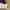 Louis Vuitton Luxury Handbag Wanita brown photo 5