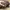 Louis Vuitton Luxury Handbag Wanita brown photo 6