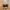 Nike Dunk Low Cacao Wow Brown Sail Mocha photo 6