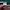 Champion Sportswear Minimalist Sweater Pria green photo 4