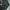 Champion Sportswear Minimalist Sweater Pria green photo 3