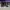Nike Streetwear Sportswear Sneakers Pria white black photo 5