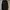 CANVAS PARKA JACKETS MUZAK photo 1
