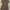 Trench coat photo 2
