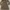 Trench coat photo 1
