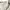 Columbia Gorpcore Sportswear Windbreaker Pria cream photo 7
