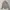 Jaket Parka Military M65 Unisex Coksu photo 1
