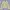 Summer Soft Yellow Cardigan | Y2K 