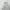 POLHAM PULLOVER HOODIE