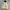Nylaus Warm Heat Puffer Down Jacket photo 3