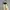 Nylaus Warm Heat Puffer Down Jacket photo 4