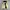 Nylaus Warm Heat Puffer Down Jacket photo 2