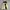 Nylaus Warm Heat Puffer Down Jacket