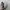 APC RUN AROUND SNEAKERS photo 5