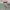 Vans x Redkap shortpants photo 1